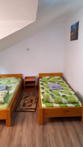  Casa Borcean  Саша Монтана